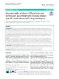 Genome-wide analysis of Mycobacterium tuberculosis polymorphisms reveals lineagespecific associations with drug resistance