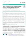 Transcriptome profiling reveals candidate flavonol-related genes of Tetrastigma hemsleyanum under cold stress