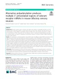 Alternative polyadenylation produces multiple 3’ untranslated regions of odorant receptor mRNAs in mouse olfactory sensory neurons