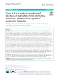 Transcriptomic analysis reveals novel downstream regulatory motifs and highly transcribed virulence factor genes of Entamoeba histolytica
