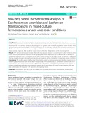 RNA-seq based transcriptional analysis of Saccharomyces cerevisiae and Lachancea thermotolerans in mixed-culture fermentations under anaerobic conditions