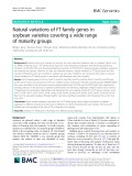 Natural variations of FT family genes in soybean varieties covering a wide range of maturity groups