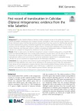 First record of translocation in Culicidae (Diptera) mitogenomes: Evidence from the tribe Sabethini