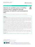 Selection of candidate genes controlling veraison time in grapevine through integration of meta-QTL and transcriptomic data