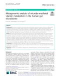 Metagenomic analysis of microbe-mediated vitamin metabolism in the human gut microbiome
