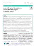 Cold acclimation triggers major transcriptional changes in Drosophila suzukii