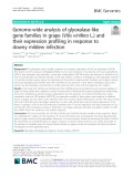 Genome-wide analysis of glyoxalase-like gene families in grape (Vitis vinifera L.) and their expression profiling in response to downy mildew infection