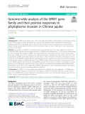 Genome-wide analysis of the WRKY gene family and their positive responses to phytoplasma invasion in Chinese jujube