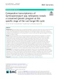 Comparative transcriptomics of Gymnosporangium spp. teliospores reveals a conserved genetic program at this specific stage of the rust fungal life cycle