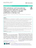 DNA methylomes and transcriptomes analysis reveal implication of host DNA methylation machinery in BmNPV proliferation in Bombyx mori
