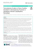 Transcriptome Analysis of Gene Families Involved in Chemosensory Function in Spodoptera littoralis (Lepidoptera: Noctuidae)