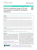 Selective translational usage of TSS and core promoters revealed by translatome sequencing
