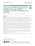 A framework for TRIM21-mediated protein depletion in early mouse embryos: Recapitulation of Tead4 null phenotype over three days