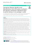 Transposon libraries identify novel Mycobacterium bovis BCG genes involved in the dynamic interactions required for BCG to persist during in vivo passage in cattle