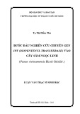 Luận văn Thạc sĩ Sinh học: Bước đầu nghiên cứu chuyển gen ipt (isopentenyl transferase) vào cây sâm Ngọc Linh (Panax vietnamensis Ha et Grushv.)