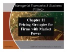 Lecture Managerial Economics and Business Strategy - Chapter 11: Pricing Strategies for Firms with Market Power