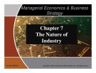Lecture Managerial Economics and Business Strategy - Chapter 7: The Nature of Industry