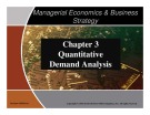 Lecture Managerial Economics and Business Strategy - Chapter 3: Quantitative Demand Analysis