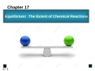 Lecture General Chemistry 2 - Chapter 17: Equilibrium: The Extent of Chemical Reactions. After studying this section will help you understand: