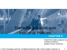 Lecture International Economics - Chapter 6: Trade Regulations and Industrial Policies
