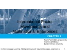 Lecture International Economics - Chapter 9: International Factor Movements and Multinational Enterprises