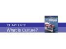 Lecture Fundamentals of International Business - Chapter 3: What is culture?