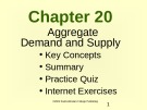 Lecture Microeconomics - Chapter 20: Aggregate Demand and Supply