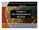 Lecture Managerial Economics and Business Strategy - Chapter 6: The Organization of the Firm