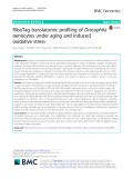 RiboTag translatomic profiling of Drosophila oenocytes under aging and induced oxidative stress