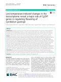 Low-temperature-induced changes in the transcriptome reveal a major role of CgSVP genes in regulating flowering of Cymbidium goeringii