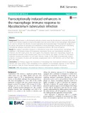 Transcriptionally induced enhancers in the macrophage immune response to Mycobacterium tuberculosis infection