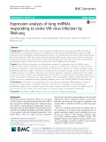 Expression analysis of lung miRNAs responding to ovine VM virus infection by RNA-seq
