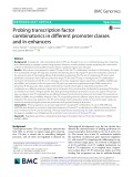 Probing transcription factor combinatorics in different promoter classes and in enhancers
