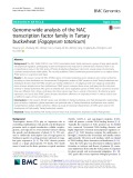 Genome-wide analysis of the NAC transcription factor family in Tartary buckwheat (Fagopyrum tataricum)