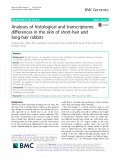 Analyses of histological and transcriptome differences in the skin of short-hair and long-hair rabbits