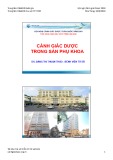 Bài giảng Cảnh giác dược trong Sản phụ Khoa - DS. Đặng Thị Thuận Thảo