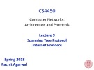 Lecture Computer Networks: Architecture and Protocols - Lesson 9