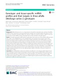Genotype- and tissue-specific miRNA profiles and their targets in three alfalfa (Medicago sativa L) genotypes