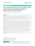 The relationship between latex metabolism gene expression with rubber yield and related traits in Hevea brasiliensis