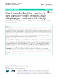 Genetic control of longissimus dorsi muscle gene expression variation and joint analysis with phenotypic quantitative trait loci in pigs