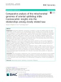 Comparative analysis of the mitochondrial genomes of oriental spittlebug trible Cosmoscartini: Insights into the relationships among closely related taxa