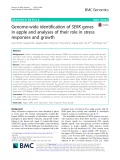 Genome-wide identification of SERK genes in apple and analyses of their role in stress responses and growth