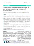 Comparative transcriptomics between high and low rubber producing Taraxacum koksaghyz R. plants