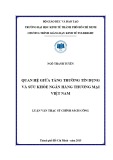 Luận văn Thạc sĩ Chính sách công: Quan hệ giữa tăng trưởng tín dụng và sức khỏe ngân hàng thương mại Việt Nam