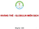 Bài giảng Kháng thể - Globulin miễn dịch - Đại học Lạc Hồng