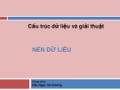 Bài giảng Cấu trúc dữ liệu và giải thuật: Nén dữ liệu - Đậu Ngọc Hà Dương