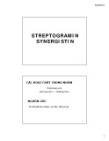 Bài giảng Streptogramin Synergistin