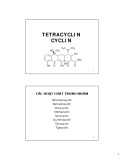 Bài giảng Kháng sinh Tetracyclin
