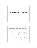 Bài giảng Kháng sinh 5 - nitroimidazole