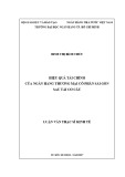 Luận văn Thạc sĩ Kinh tế: Hiệu quả tài chính của ngân hàng thương mại cổ phần Sài Gòn sau tái cơ cấu